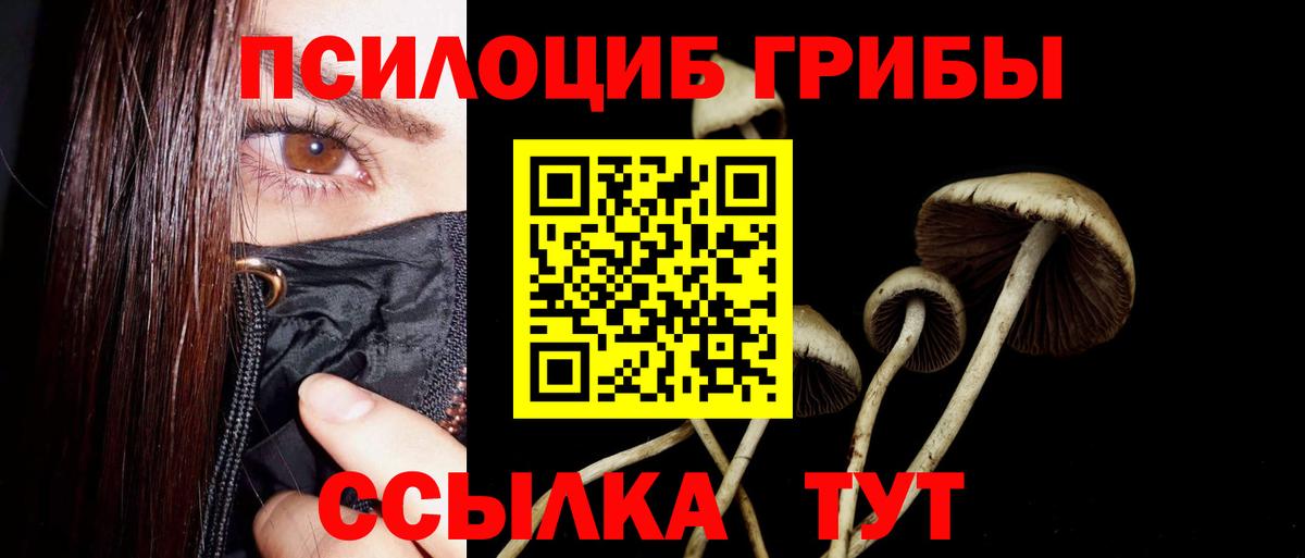 Псилоцибиновые грибы прущие грибы  Псилоцибиновые грибы GOLDEN TEACHER  Барнаул  Вход с VPN 
